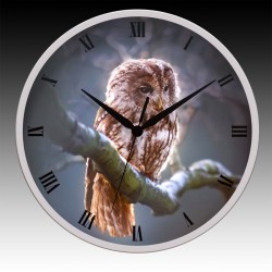 Owl Round Wall Clock with Black Hour, Minute, and Seconds hands. 11.75" diameter.